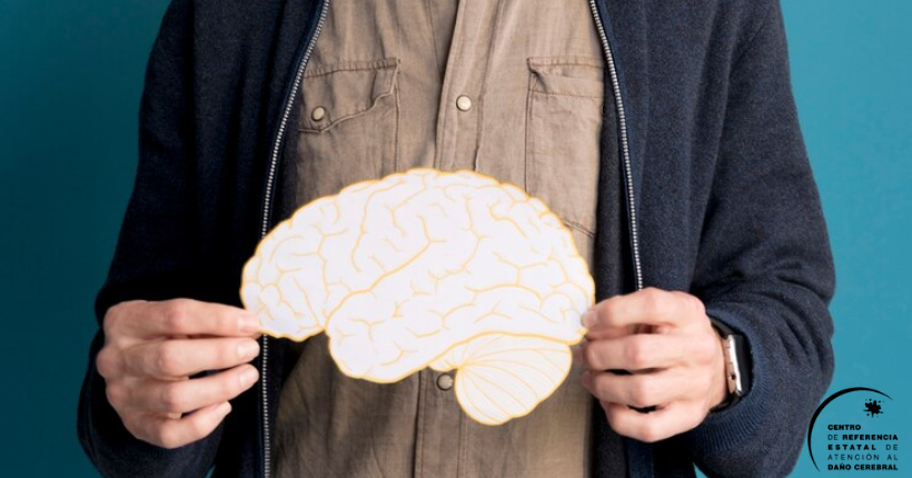 Accesibilidad cognitiva y daño cerebral